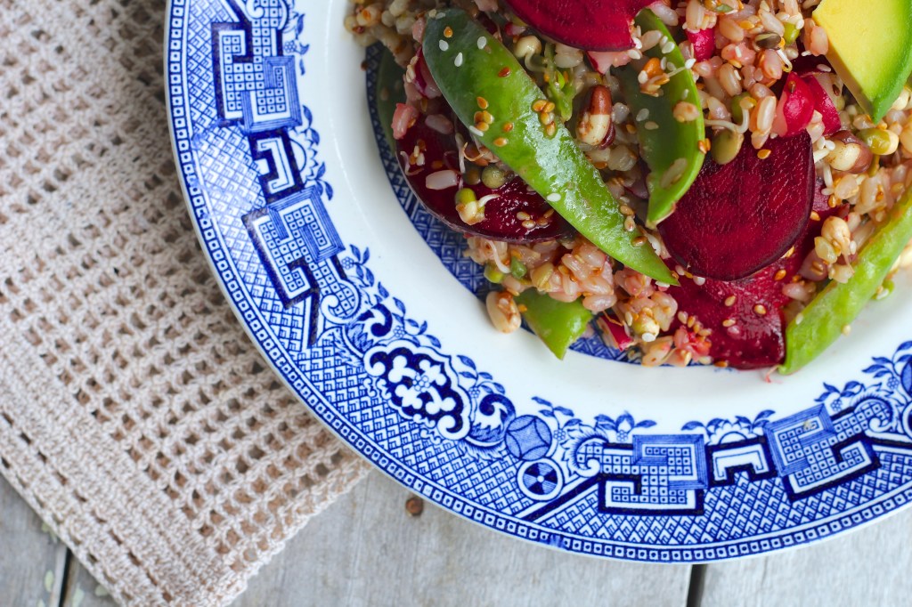 miso-sprouts-brown-rice-salad-closeup