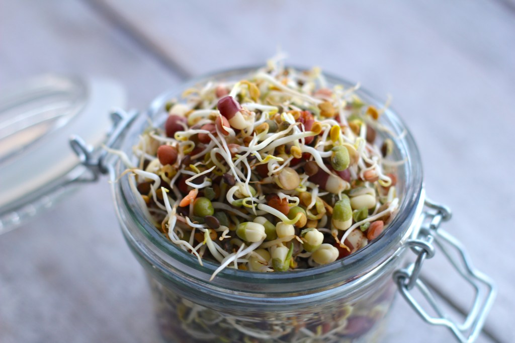 miso-sprouts-brown-rice-sprouts