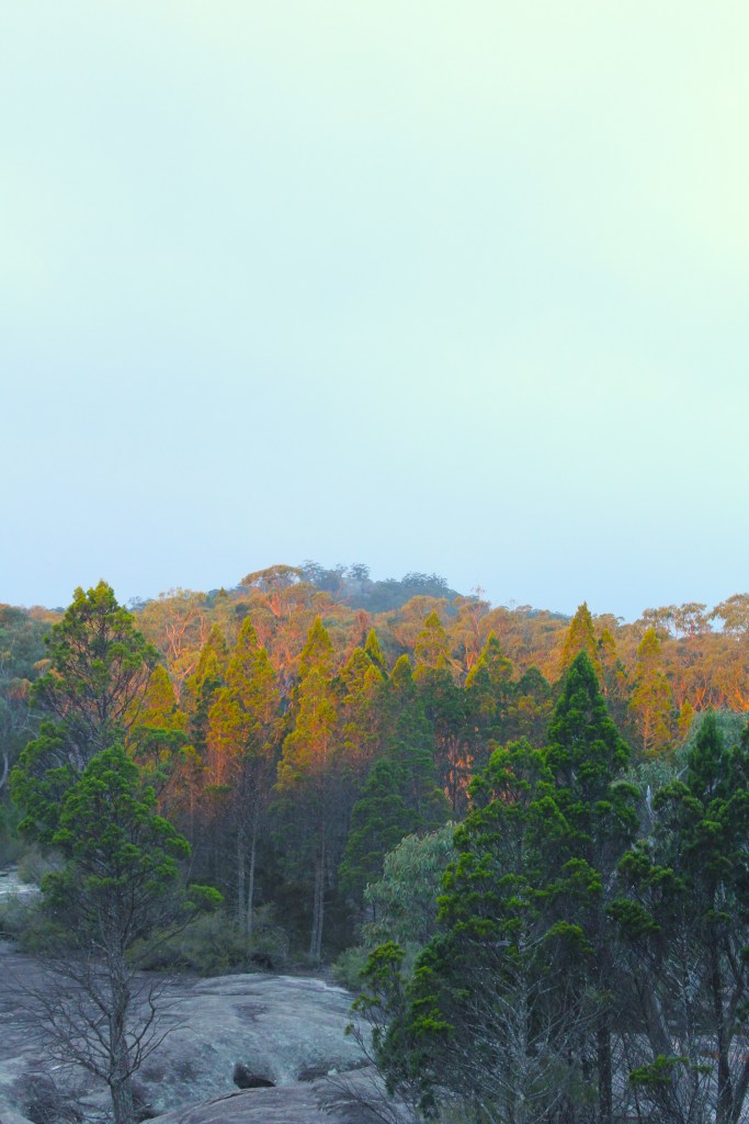 energy-balls-girraween-sunset