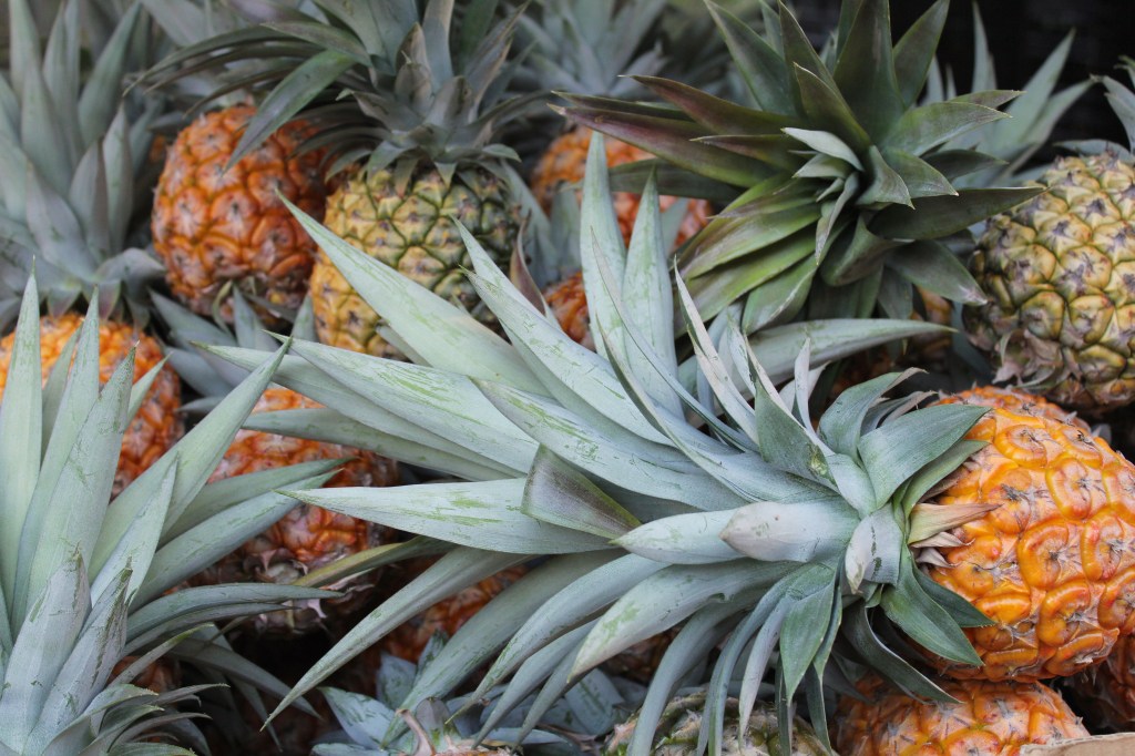 hummingbird-cake-pineapples