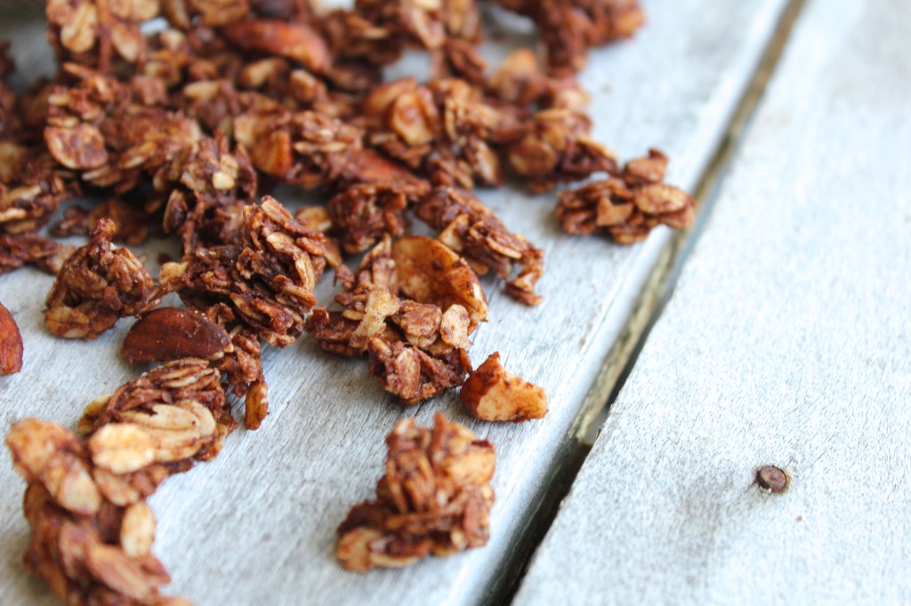 coconut-cacao-granola-birdseye