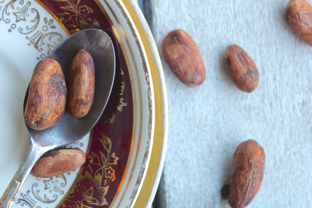 cashew-cacao-bean-smoothie-spoon