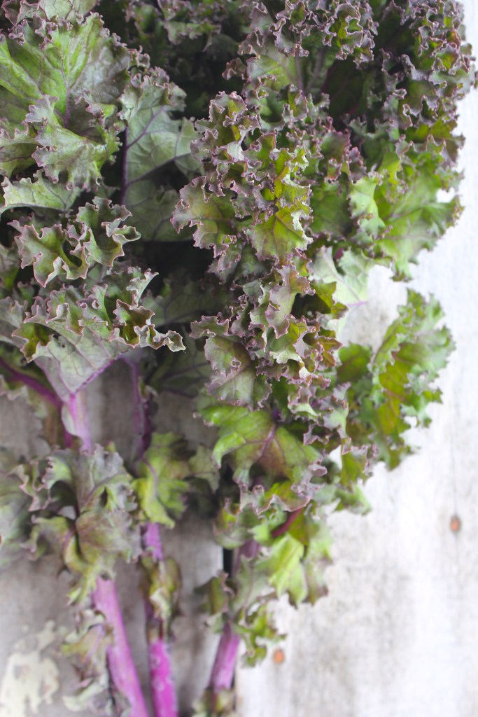 autumn-salad-kale-leaves