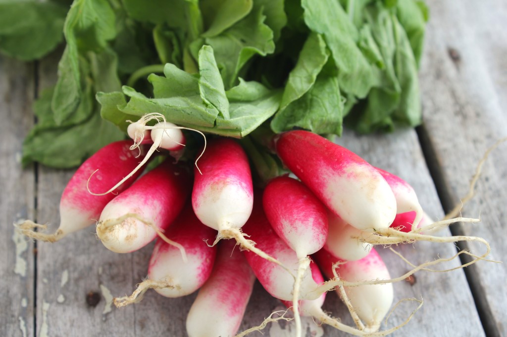 radishes