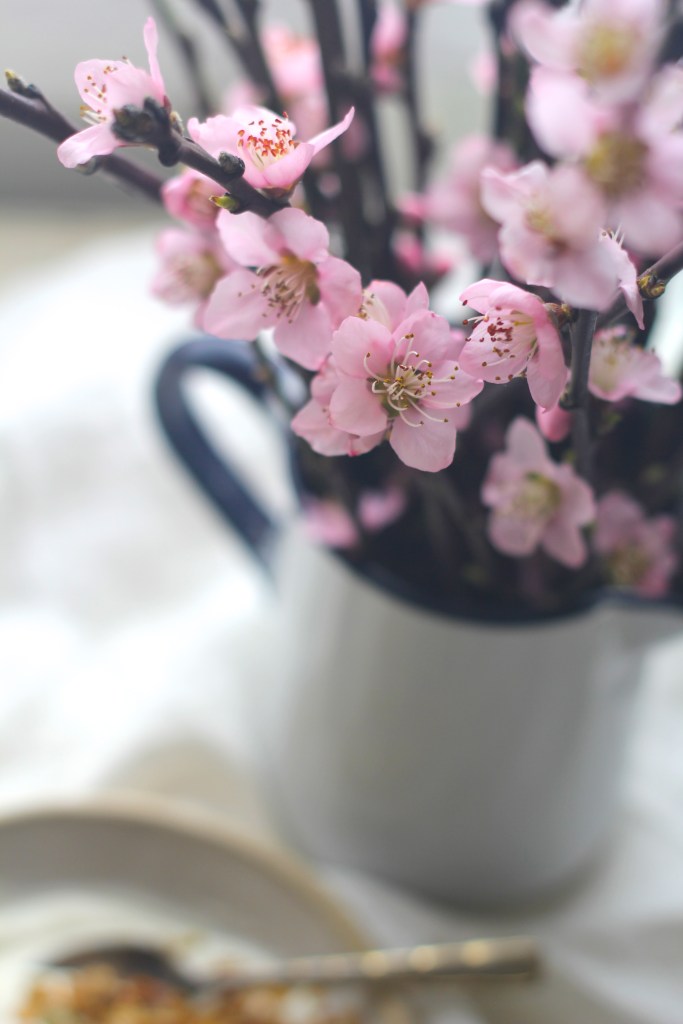 oat-milk-granola-flowers