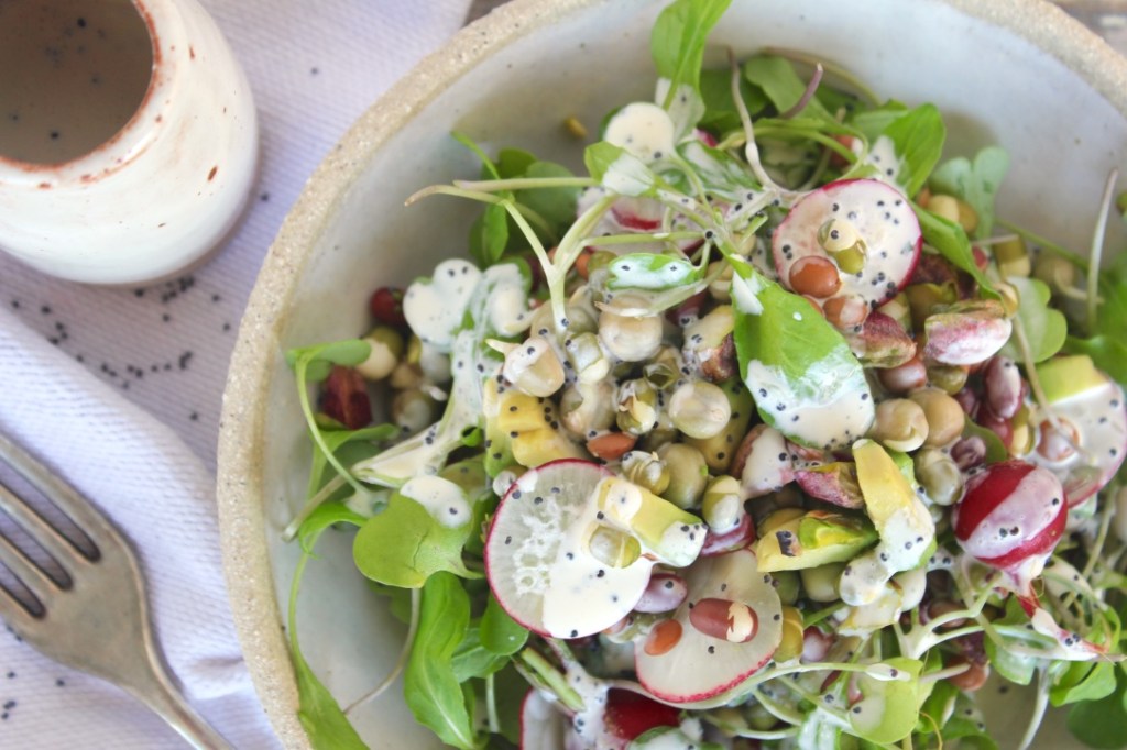 sprout-salad-closeup