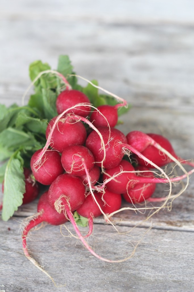 sprout-salad-radishes