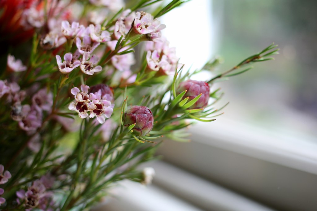 brown-butter-cardamom-cake-twelve