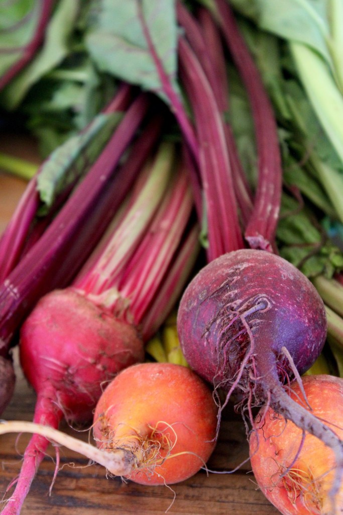 beetroot-quinoa-hazelnut-salad-11